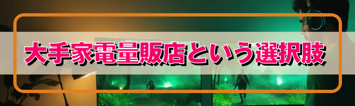 大手家電量販店という選択肢